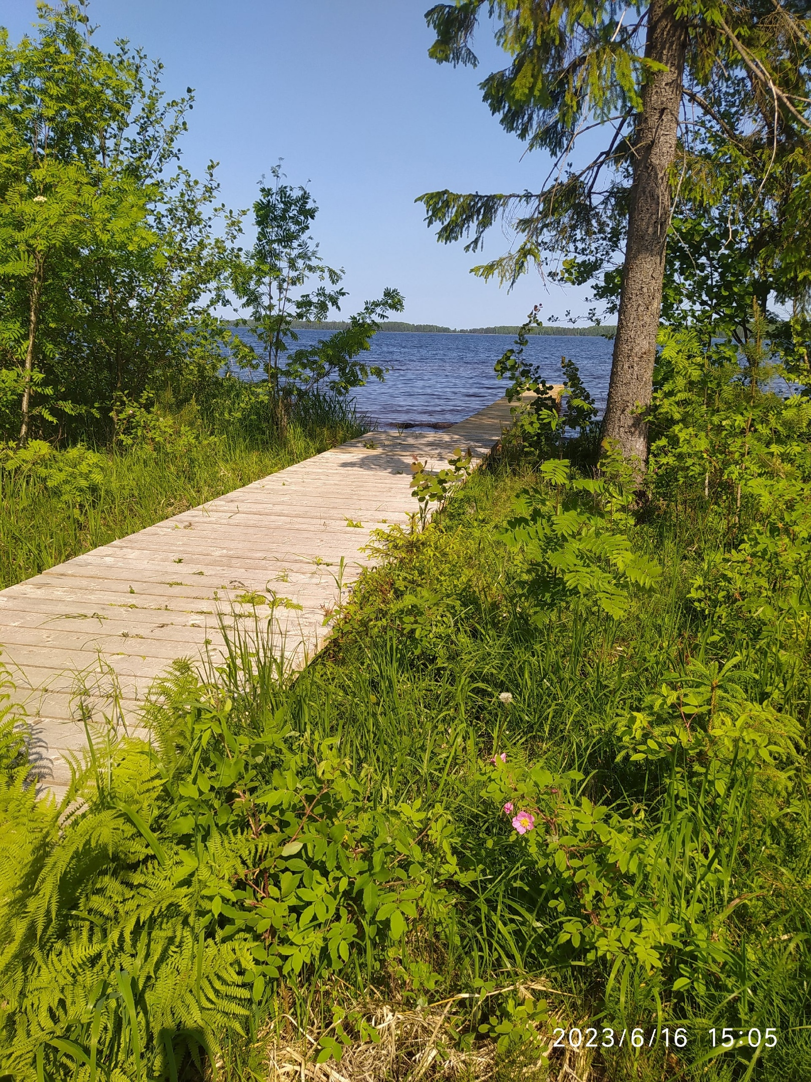 photo-5
